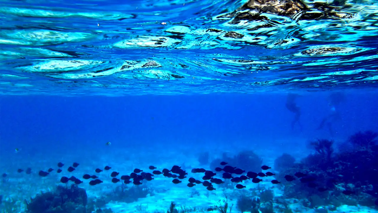 El Gran Agujero Azul de Belice