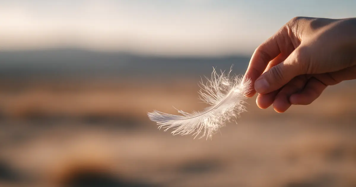 Minimalismo emocional